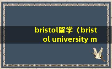 bristol留学（bristol university management school）